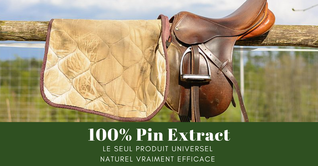 nettoyer un tapis - Bon à savoir pour bien nettoyer un tapis