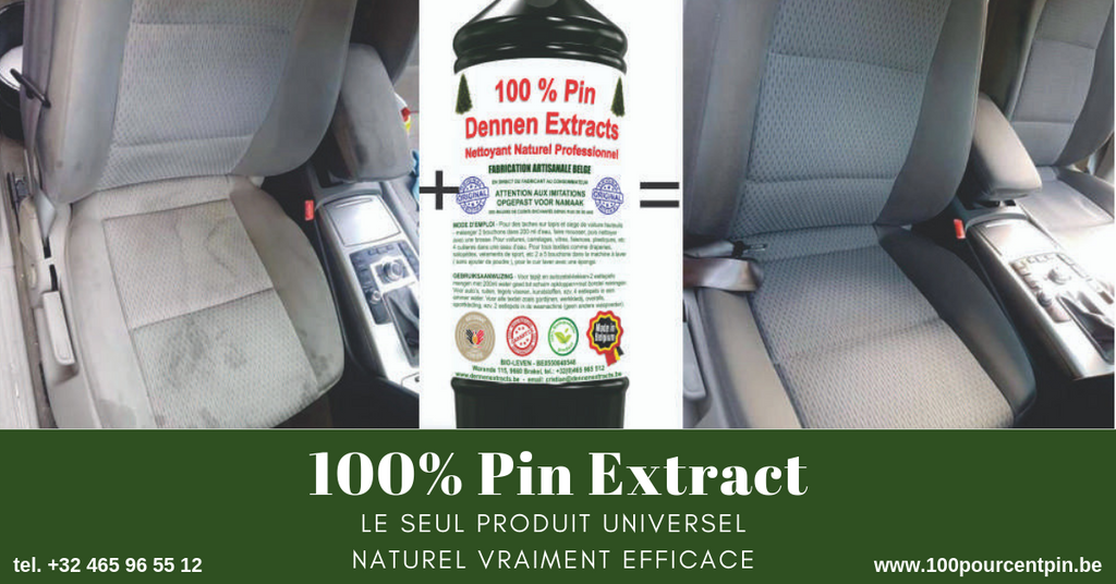 Nettoyage intérieur voiture : comment procéder