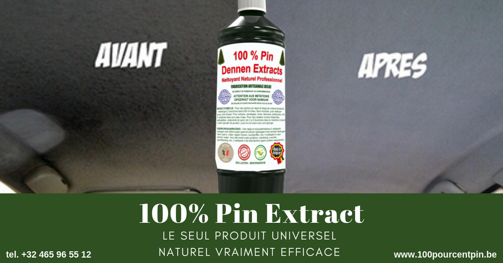 nettoyant moquette voiture - Comment l'utiliser