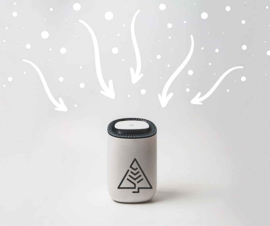 𝐏𝐎𝐔𝐑 𝐏𝐔𝐑𝐈𝐅𝐈𝐄𝐑 𝐋’𝐀𝐈𝐑 - BioLeven.com